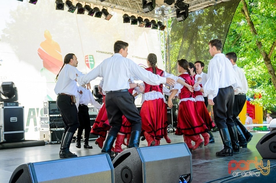 Ambianţă Zilele Sf. Ladislău, Oradea