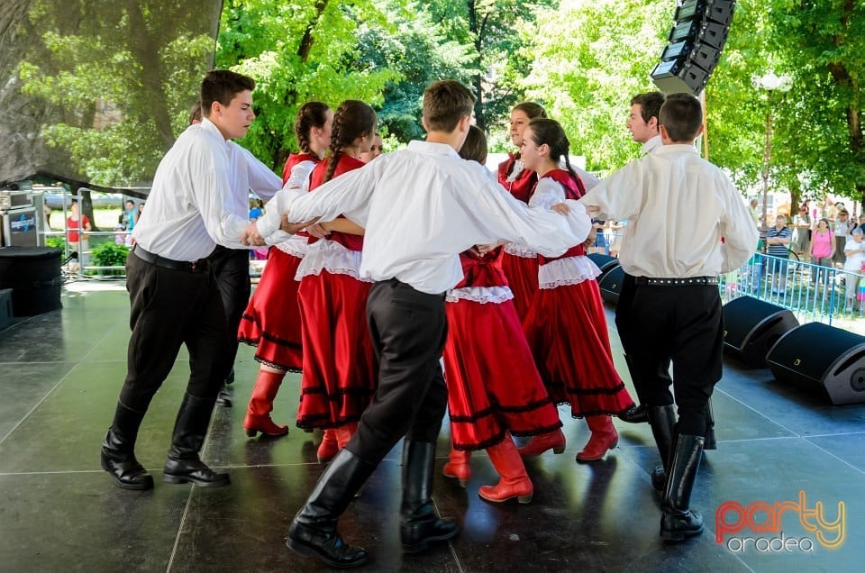 Ambianţă Zilele Sf. Ladislău, Oradea