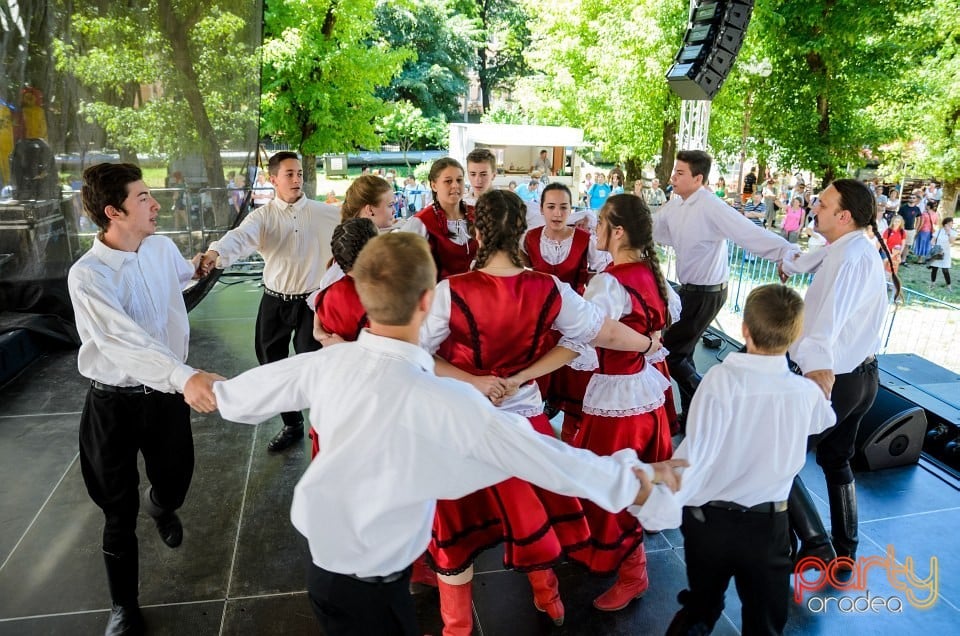 Ambianţă Zilele Sf. Ladislău, Oradea