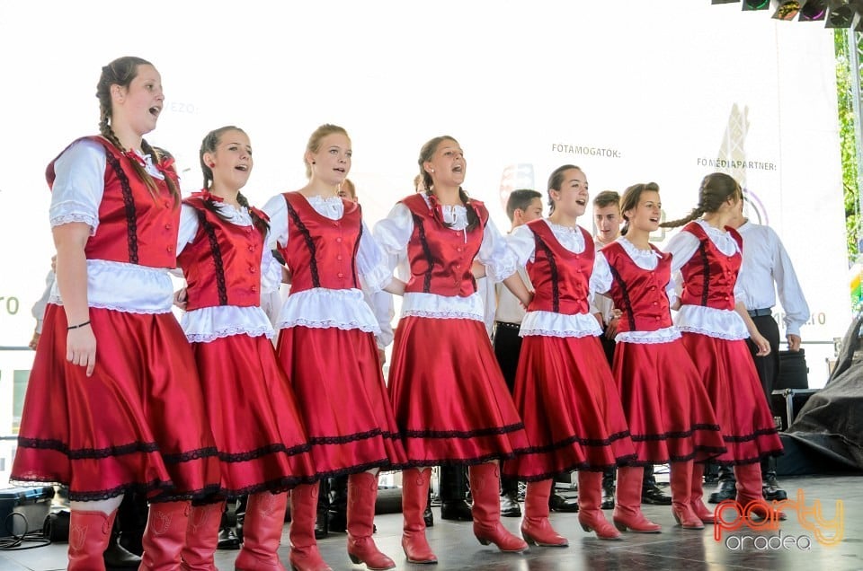 Ambianţă Zilele Sf. Ladislău, Oradea