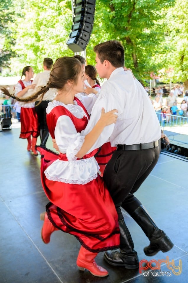 Ambianţă Zilele Sf. Ladislău, Oradea