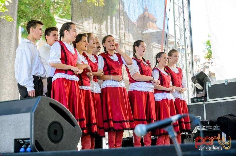 Ambianţă Zilele Sf. Ladislău, Oradea