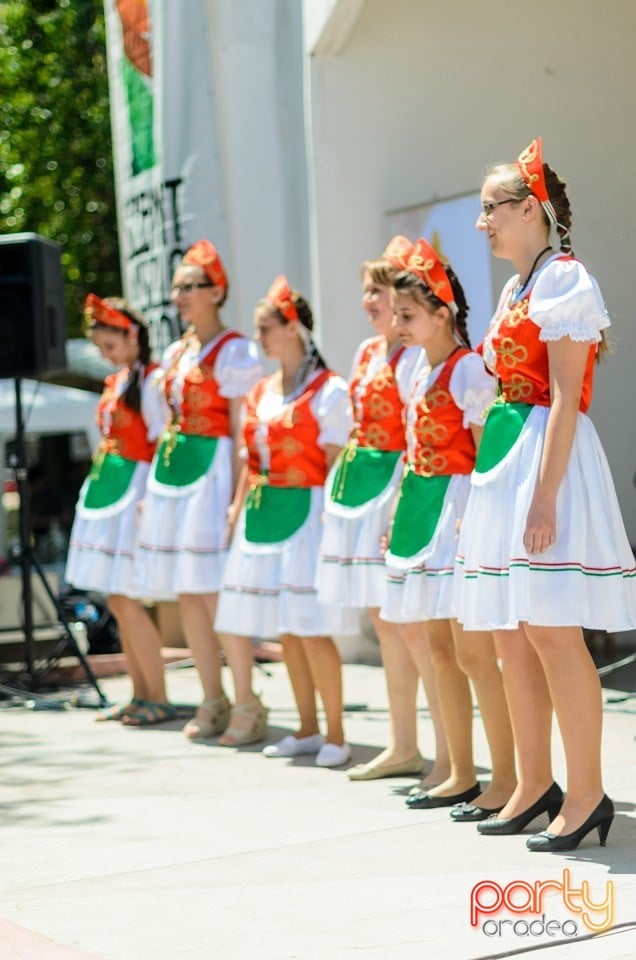 Ambianţă Zilele Sf. Ladislău, Oradea