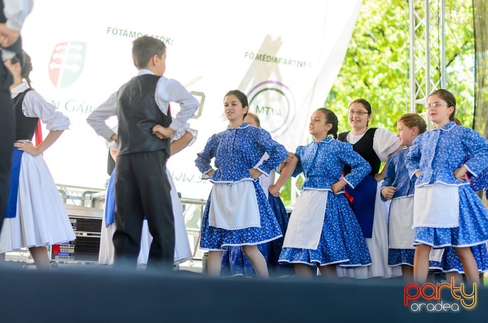 Ambianţă Zilele Sf. Ladislău, Oradea