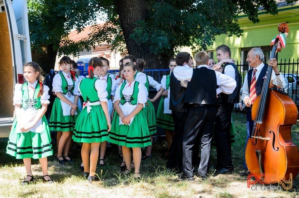 Ambianţă Zilele Sf. Ladislău, Oradea