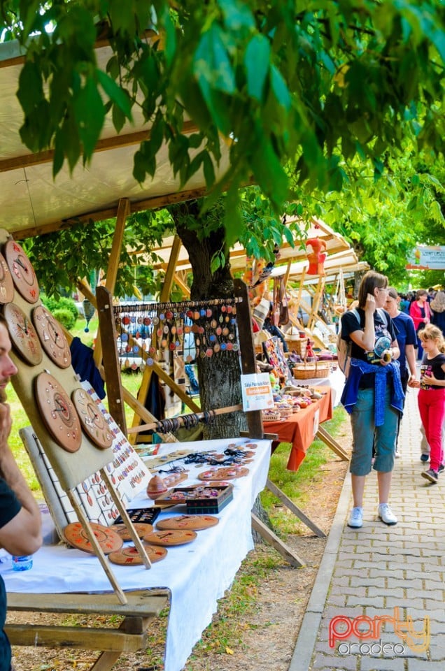 Ambianţă Zilele Sf. Ladislău, Oradea