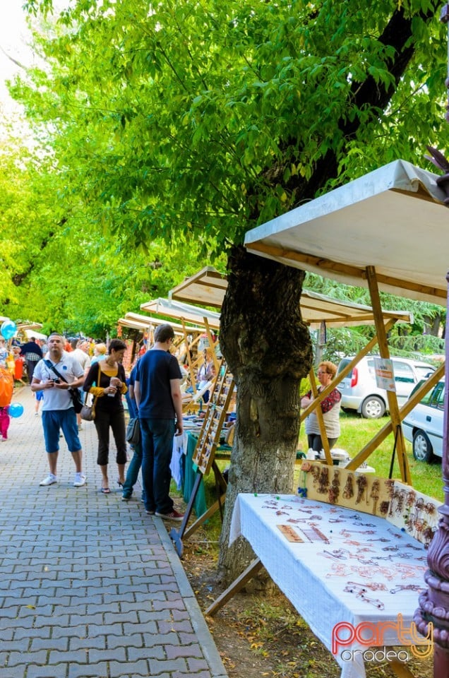 Ambianţă Zilele Sf. Ladislău, Oradea