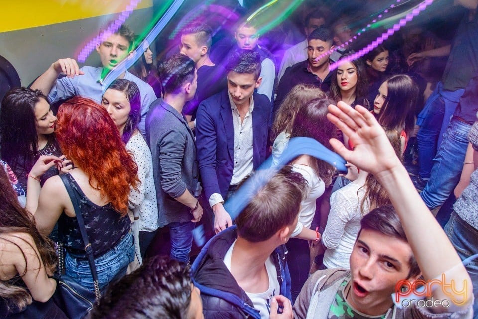 Animal Party, 