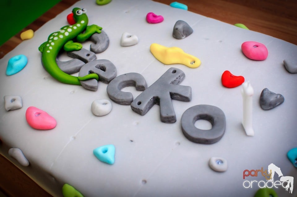 Aniversare de 1 an, Sala de escalada GeckoClimb