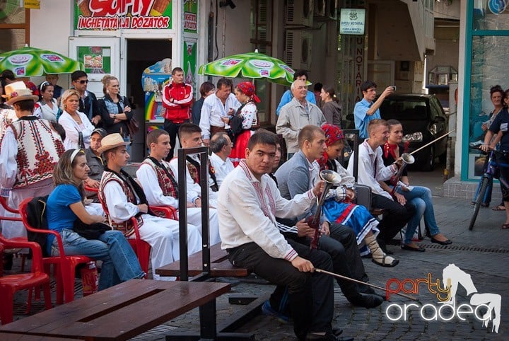 Ansamblul Crişana – Spectacol Folcloric,