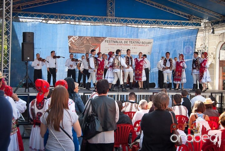 Ansamblul Crişana – Spectacol Folcloric,