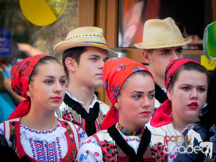 Ansamblul Crişana – Spectacol Folcloric,