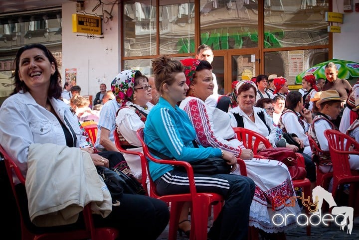 Ansamblul Crişana – Spectacol Folcloric,
