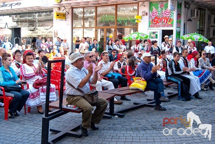 Ansamblul Crişana – Spectacol Folcloric,