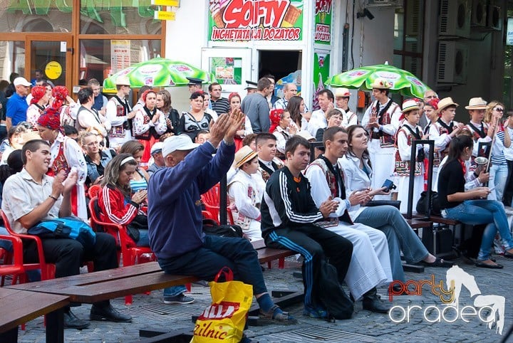 Ansamblul Crişana – Spectacol Folcloric,