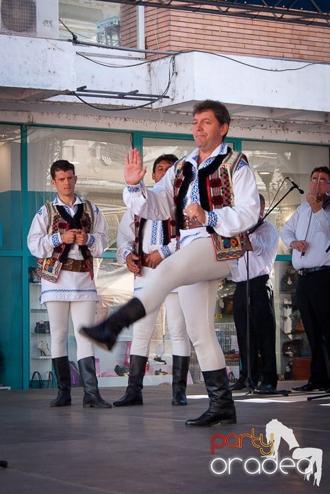 Ansamblul Crişana – Spectacol Folcloric,