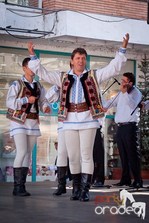 Ansamblul Crişana – Spectacol Folcloric,