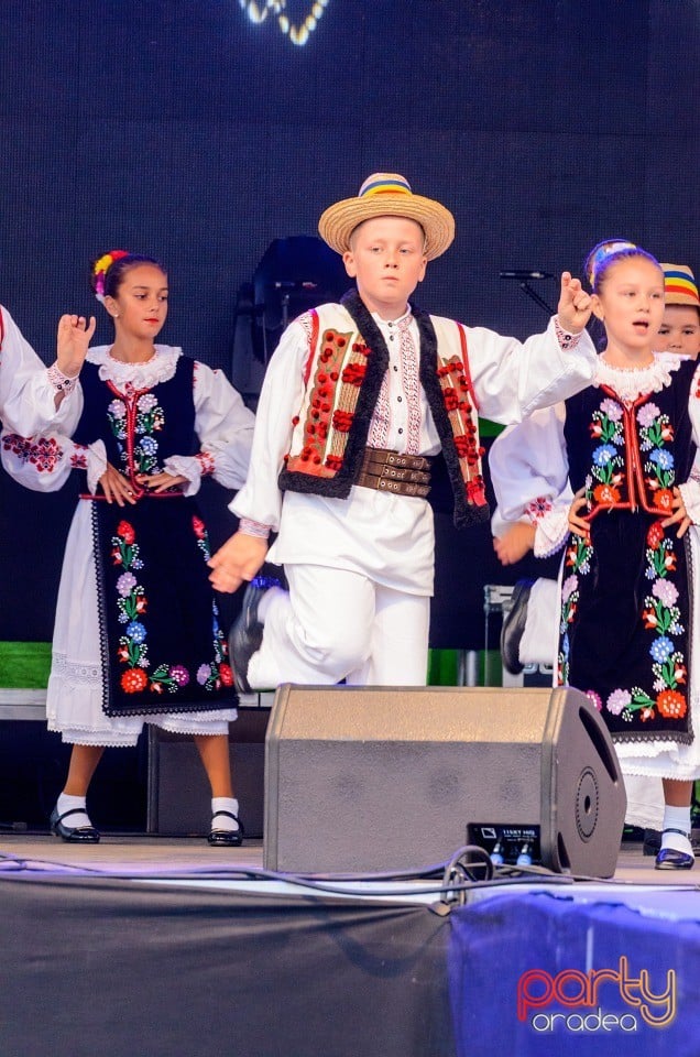 Ansamblul Folcloric Dacia, Cetatea Oradea