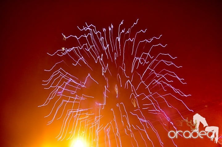 Artificii de Revelion 2012, 