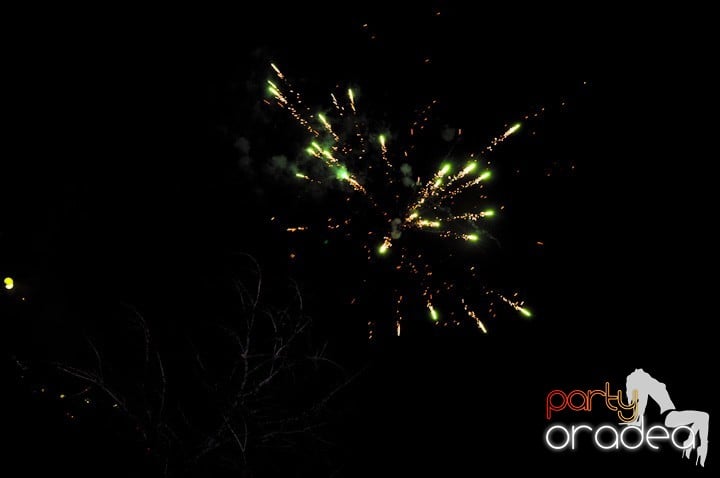 Artificii de Revelion 2012,
