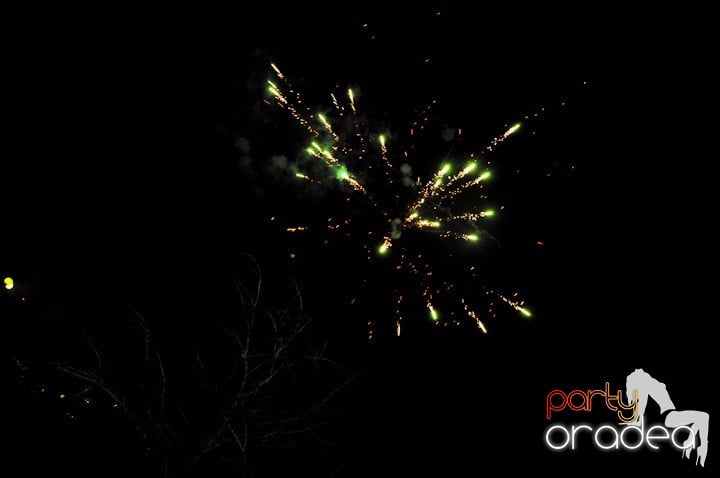 Artificii de Revelion 2012, 