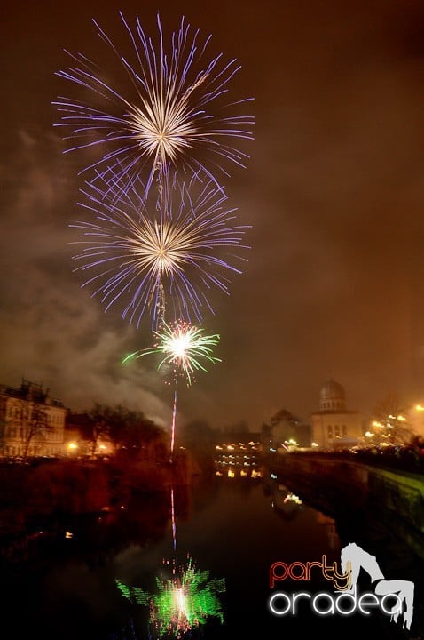 Artificii de Revelion 2012,