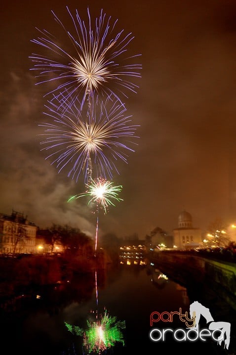 Artificii de Revelion 2012, 