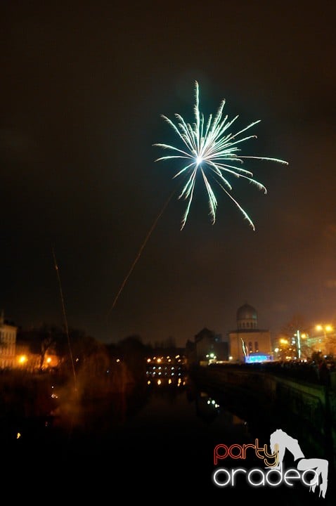 Artificii de Revelion 2012,
