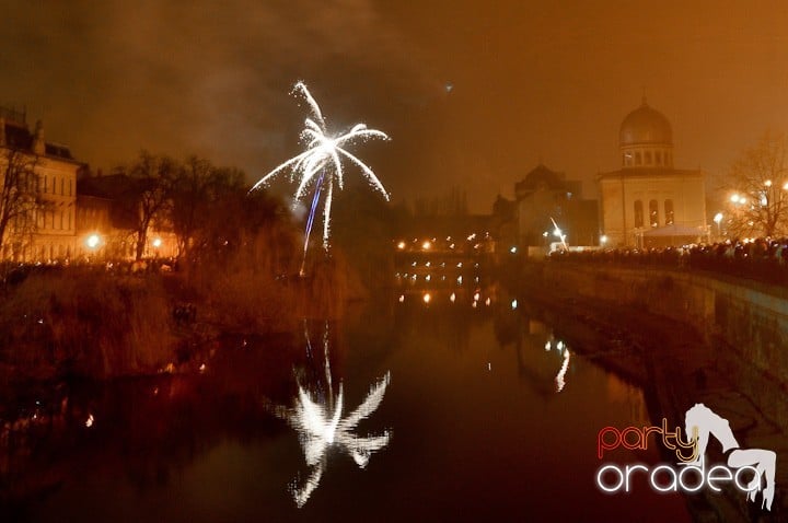Artificii de Revelion 2012,