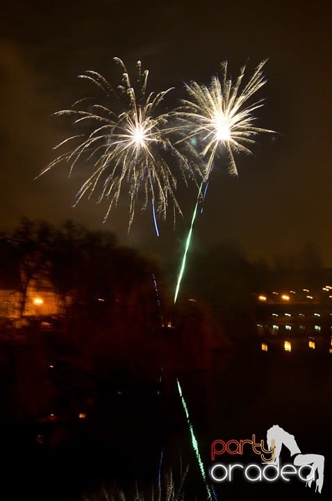 Artificii de Revelion 2012, 