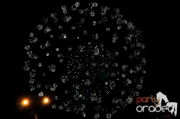 Artificii de Revelion 2012,