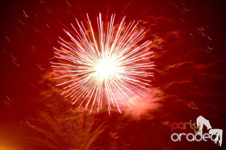 Artificii de Revelion 2012, 