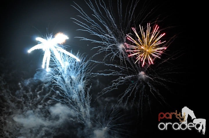 Artificii de Revelion 2012, 