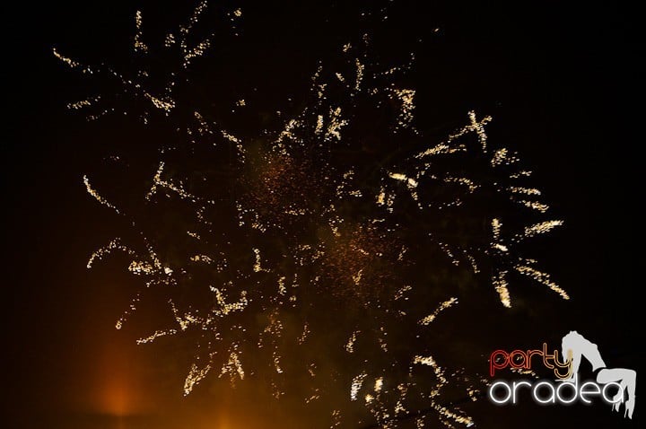 Artificii de Revelion 2012,