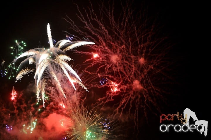 Artificii de Revelion 2012,