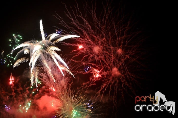 Artificii de Revelion 2012, 