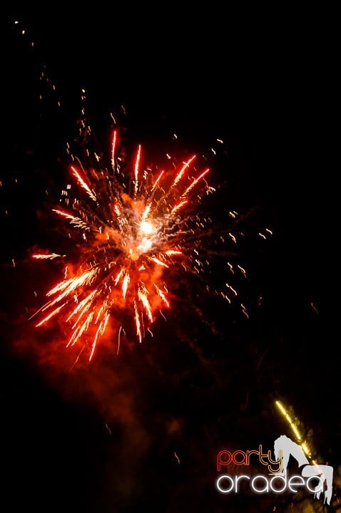 Artificii de Revelion 2012,