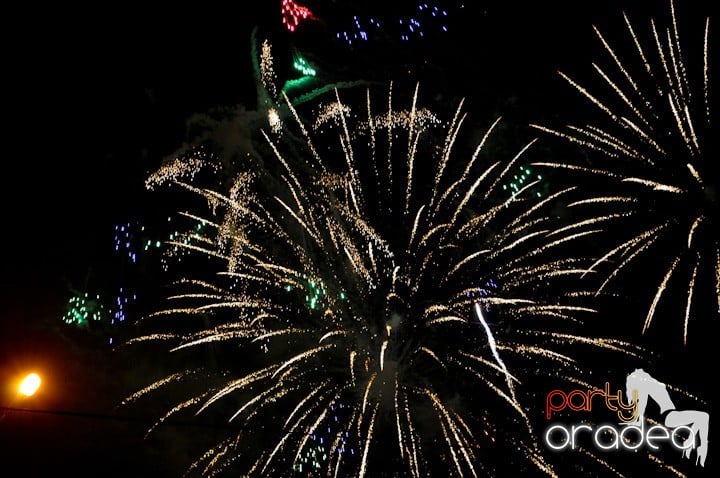 Artificii de Revelion 2012,
