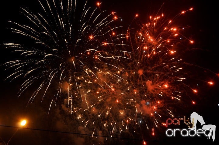 Artificii de Revelion 2012, 