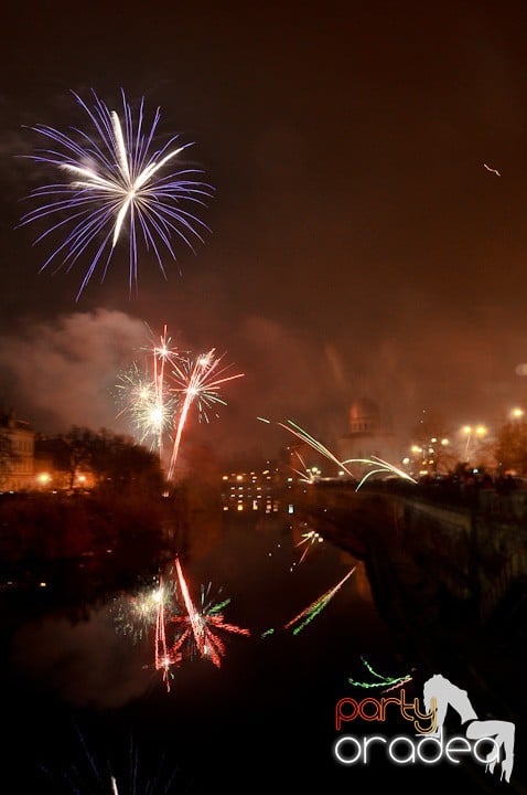 Artificii de Revelion 2012, 