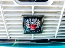 Austin Mini