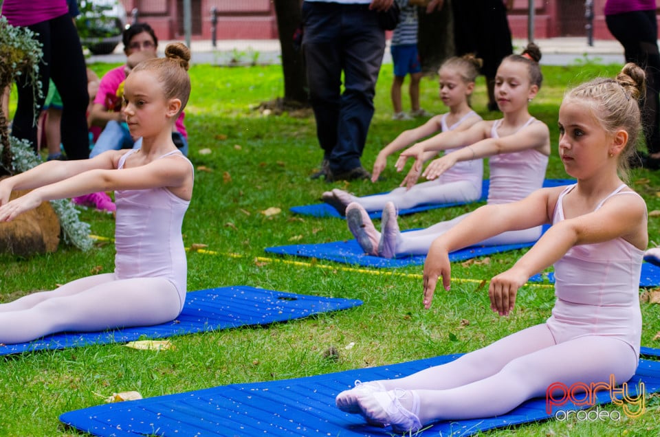 Balet în aer liber, Ars Nova Centru Fitness