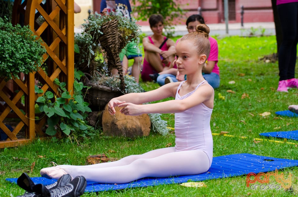 Balet în aer liber, Ars Nova Centru Fitness