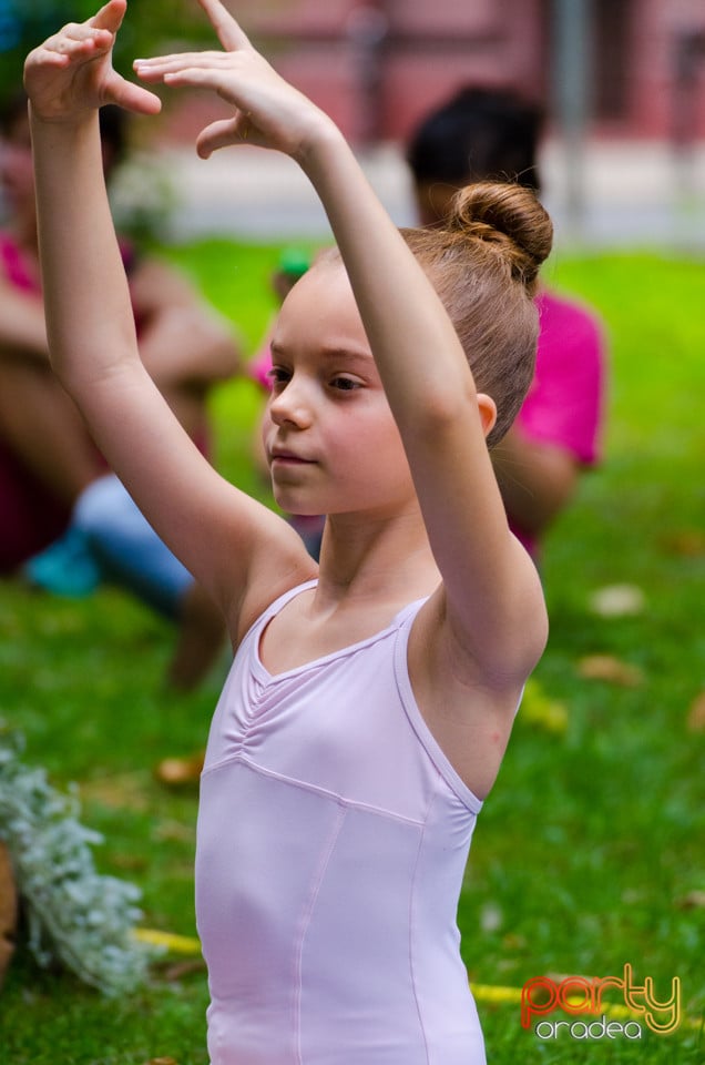 Balet în aer liber, Ars Nova Centru Fitness