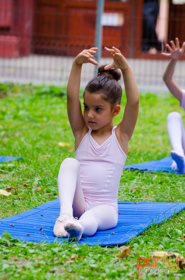 Balet în aer liber, Ars Nova Centru Fitness