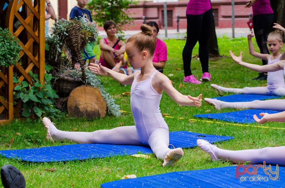 Balet în aer liber, Ars Nova Centru Fitness