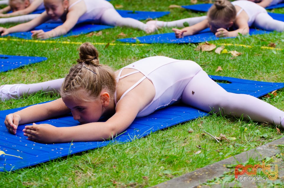 Balet în aer liber, Ars Nova Centru Fitness