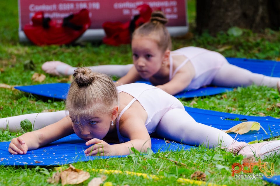 Balet în aer liber, Ars Nova Centru Fitness