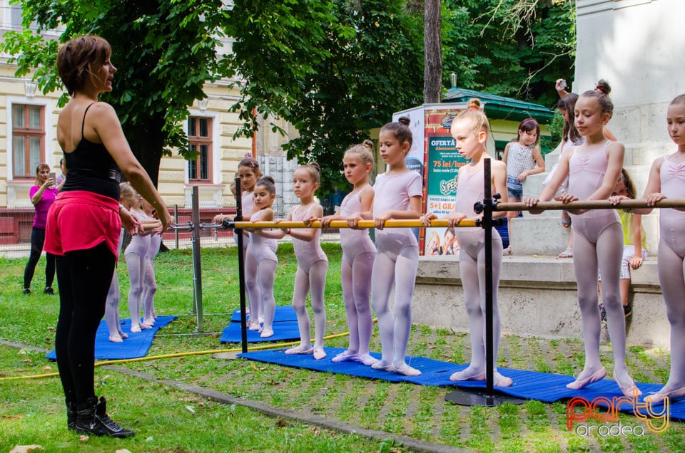 Balet în aer liber, Ars Nova Centru Fitness