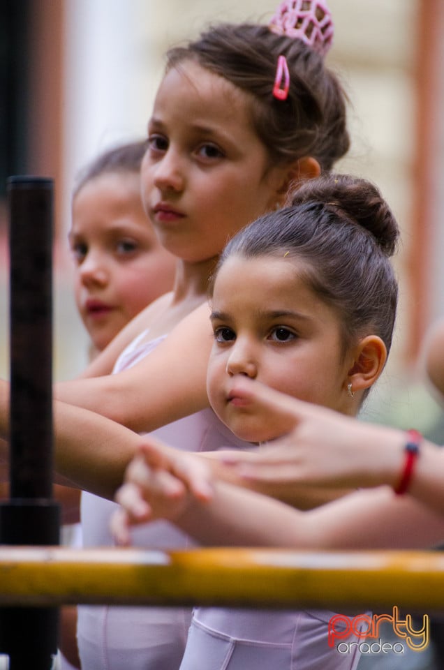 Balet în aer liber, Ars Nova Centru Fitness